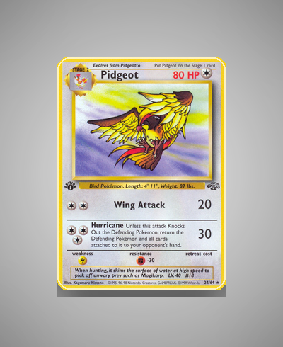 Collector’s Guide: Pidgeot (Jungle #24)