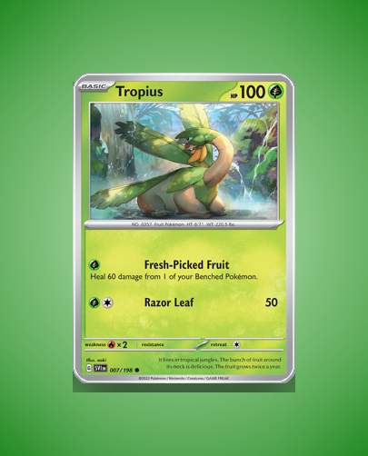 Collector’s Guide: Tropius (Scarlet Violet #7)