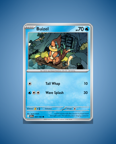 Collector’s Guide: Buizel (Destined Rivals #57)