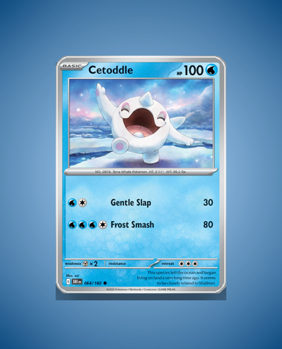 Collector’s Guide: Cetoddle (Destined Rivals #64)