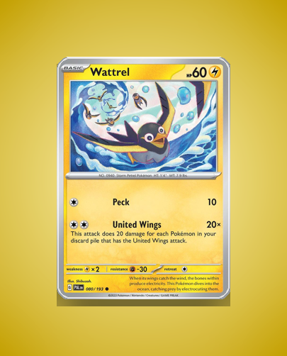 Collector’s Guide: Wattrel (Paldea Evolved #80)
