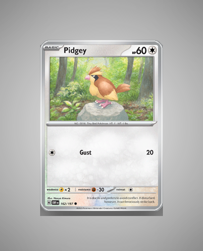 Collector’s Guide: Pidgey (Obsidian Flames #162)