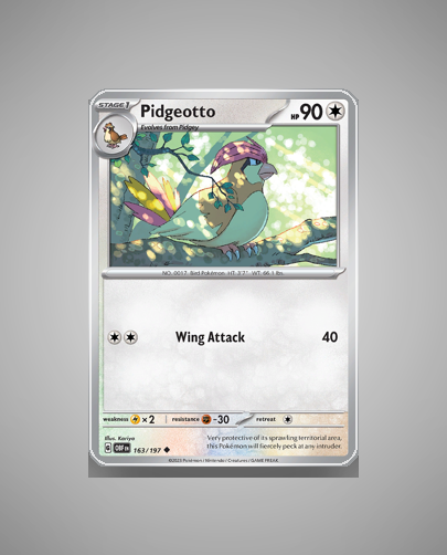 Collector’s Guide: Pidgeotto (Obsidian Flames #163)