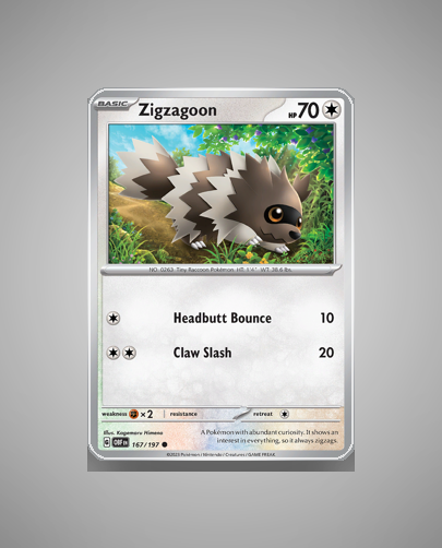 Collector’s Guide: Zigzagoon (Obsidian Flames #167)