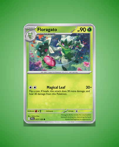 Collector’s Guide: Floragato (Journey Together #17)