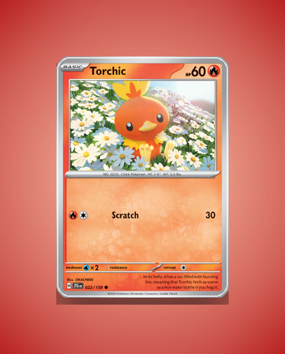 Collector’s Guide: Torchic (Journey Together #22)