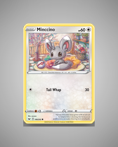 Collector’s Guide: Minccino (Sword Shield #146)