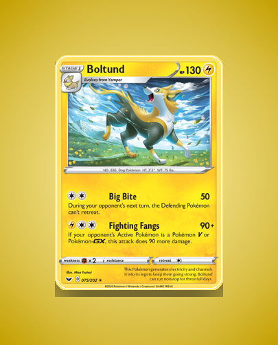 Collector’s Guide: Boltund (Sword Shield #75)