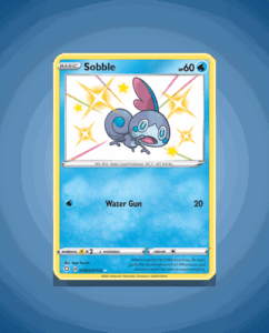 swsh45sv-SV025