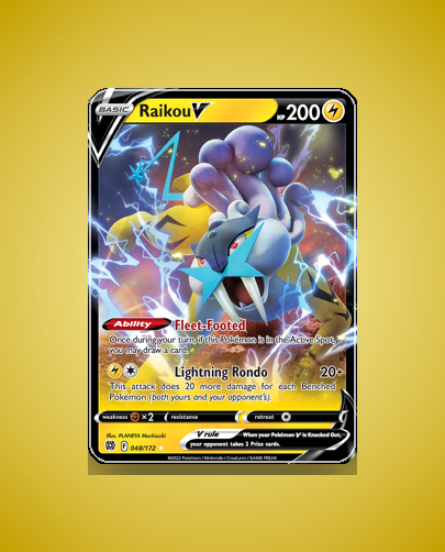 Collector’s Guide: Raikou V (Brilliant Stars #48)