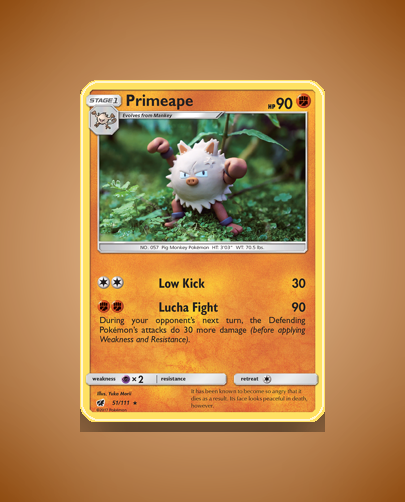 sm4-51