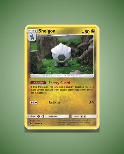 Collector’s Guide: Shelgon (Dragon Majesty #43)